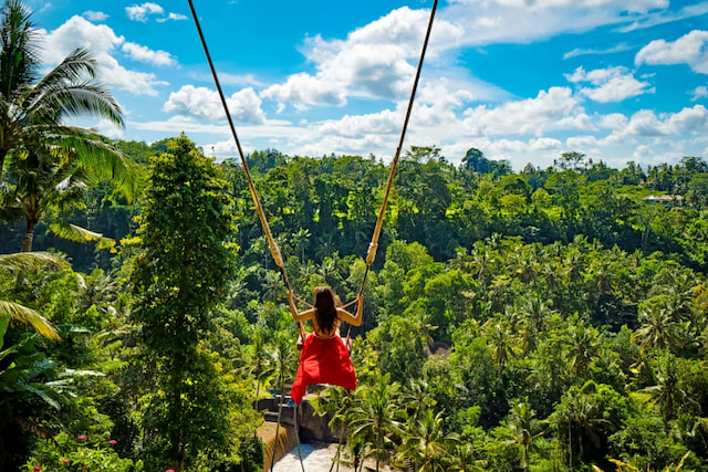 bali swing