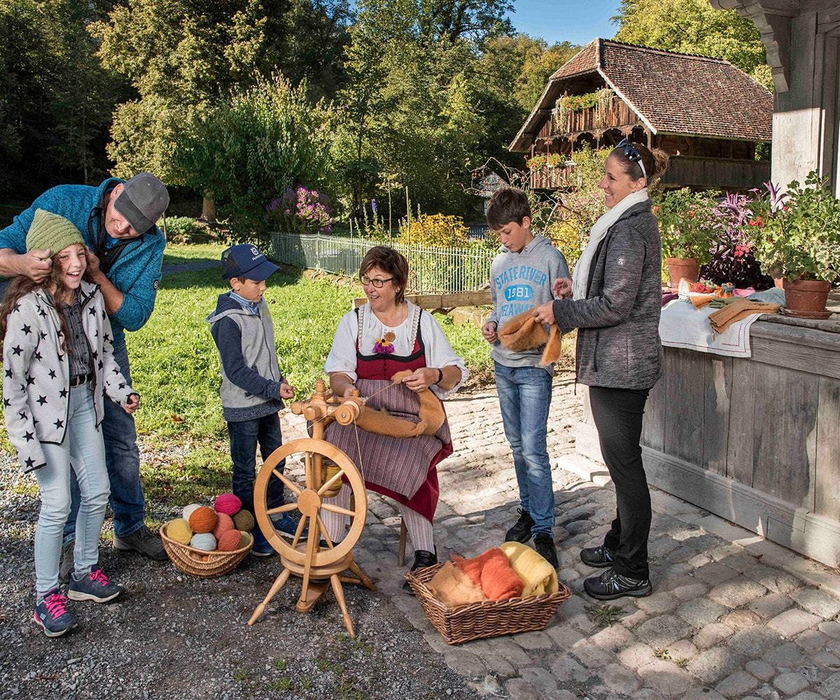 Ballenberg Great Family Fun Subsampling