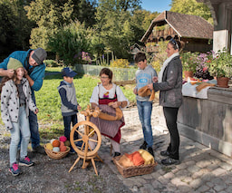 Ballenberg Great Family Fun Subsampling