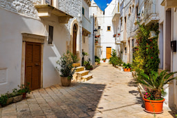Bari Town Italy 2