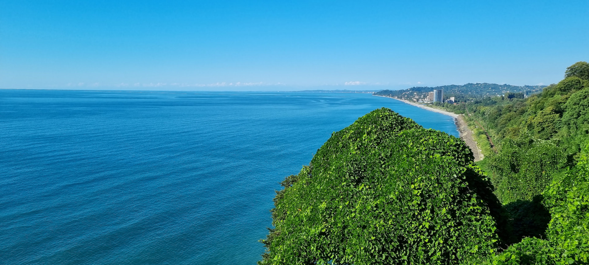 Batumi Botanical Garden 1