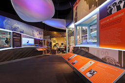 BB king Museum
