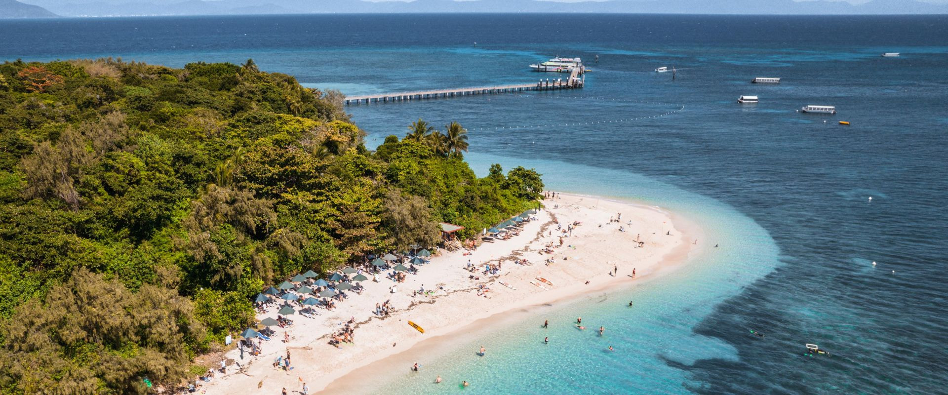 Big Cat Green Island