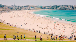 Bondi Beach