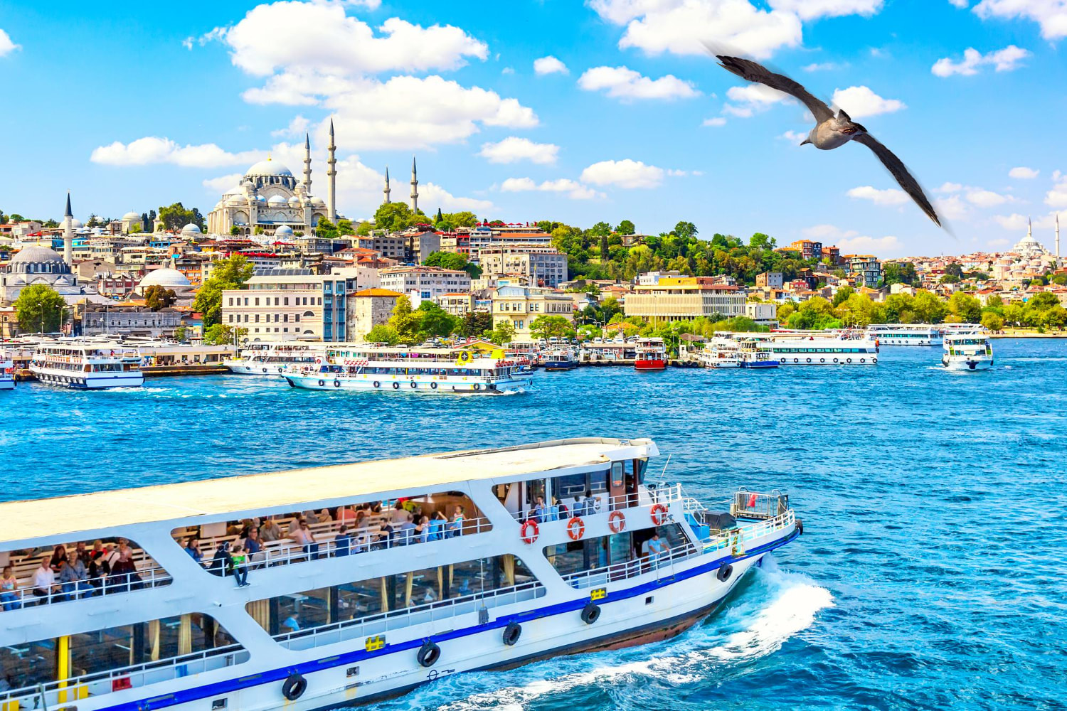 Bosphorus Cruise Istanbul 1