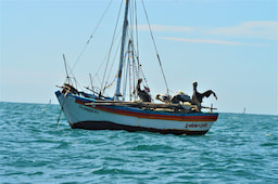 Cabo Blanco Boat Ride 2