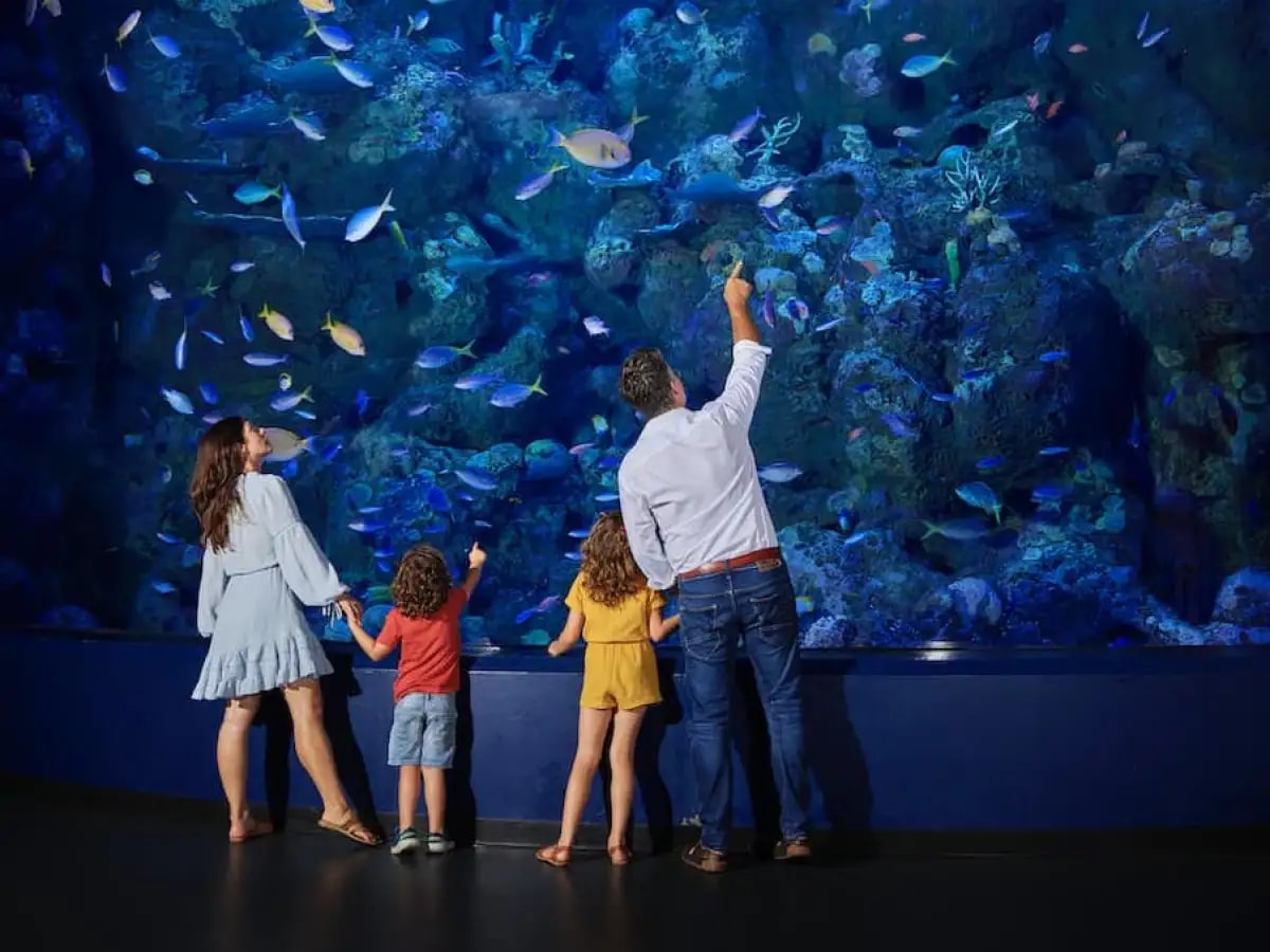 Cairns Aquarium