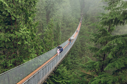 Capilano Suspension Bridge 1