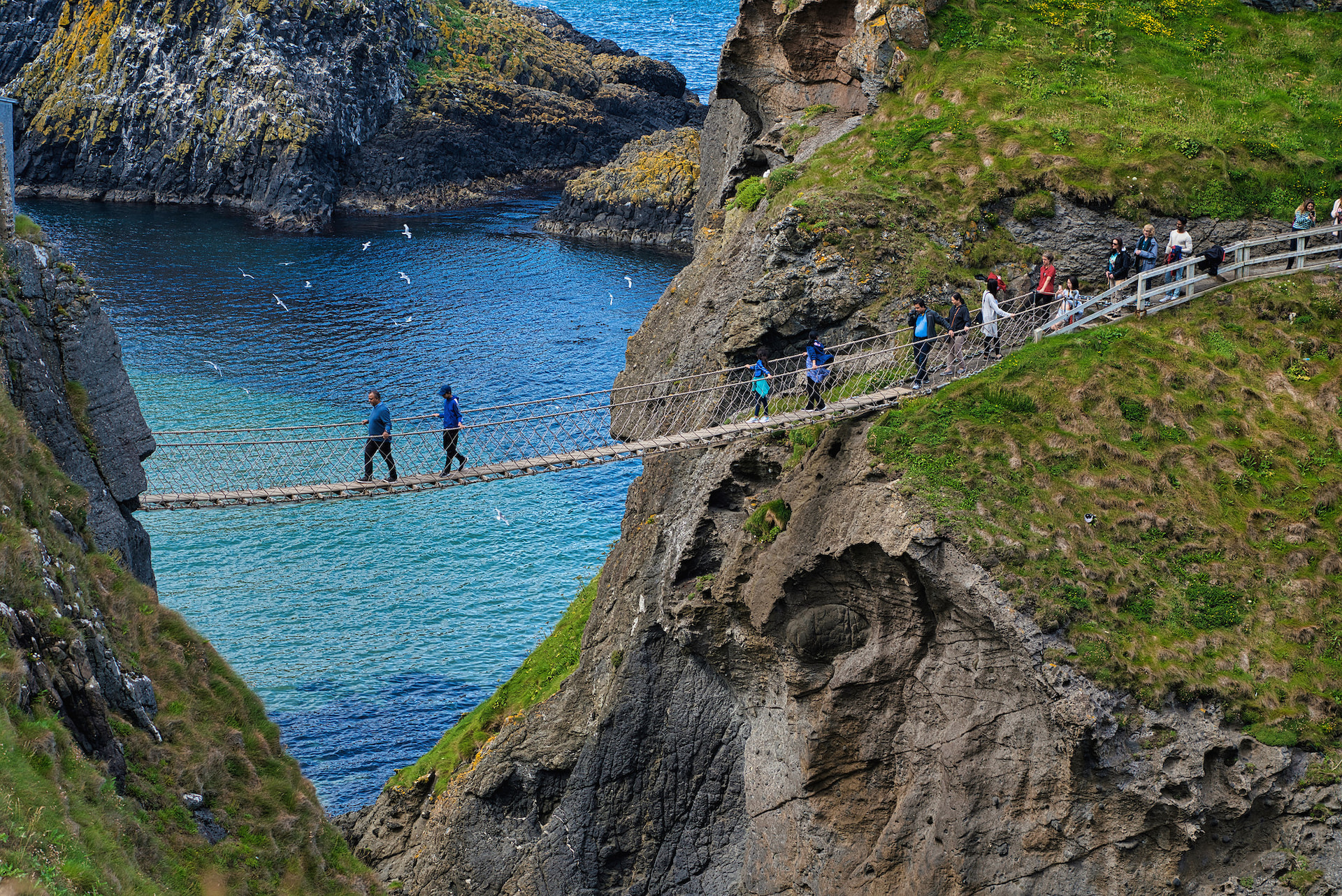 Carrick-a-Rede Bridge 1