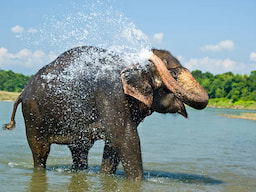 Chitwan National Park