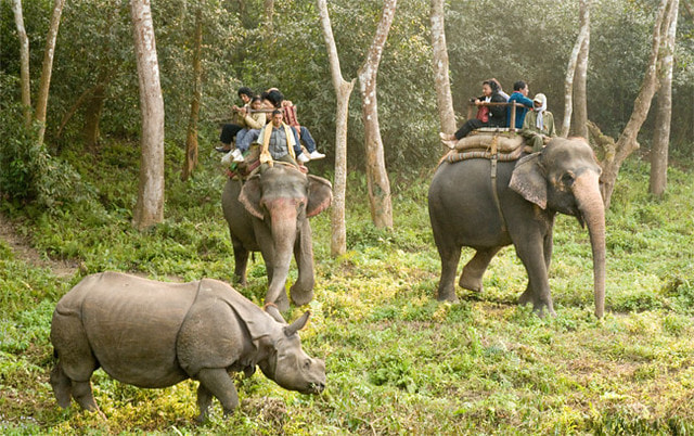 Chitwan National Park 