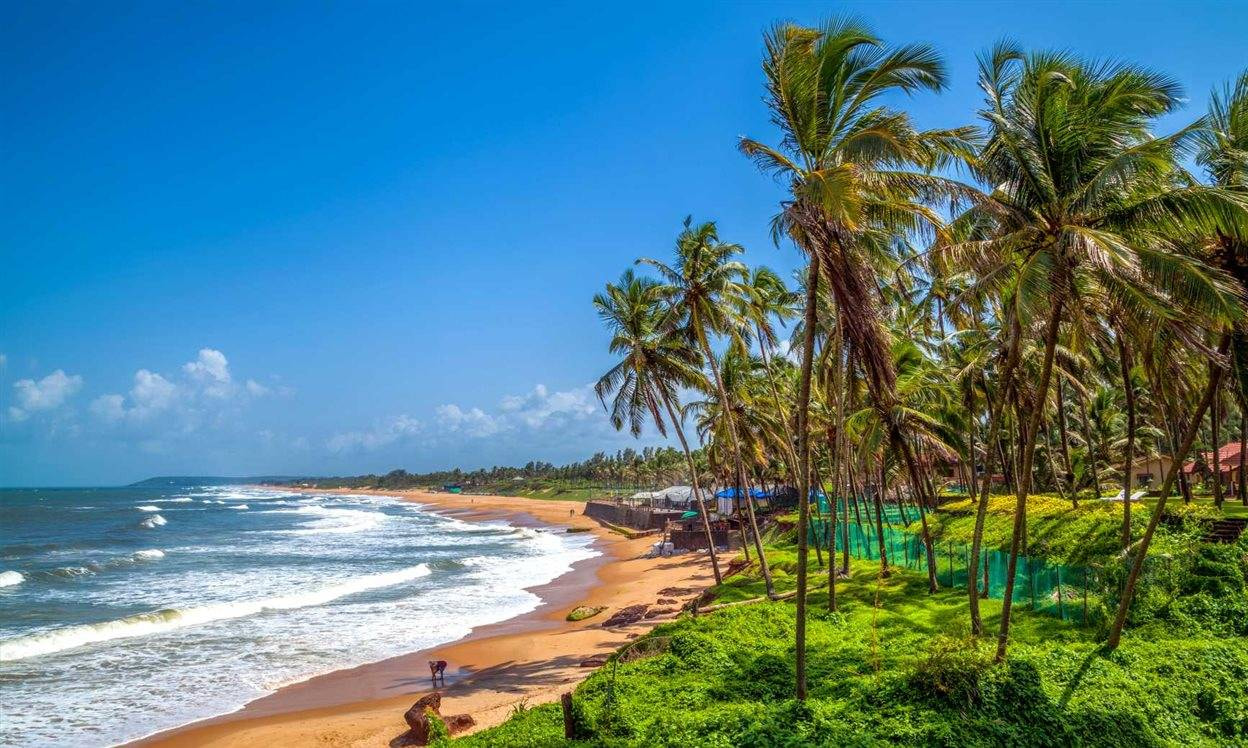 Goa City Image