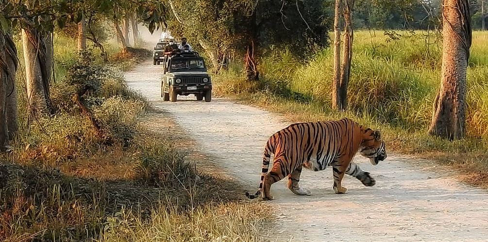 Corbett National Park
