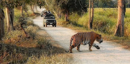 Corbett National Park