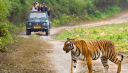 Corbett National Park