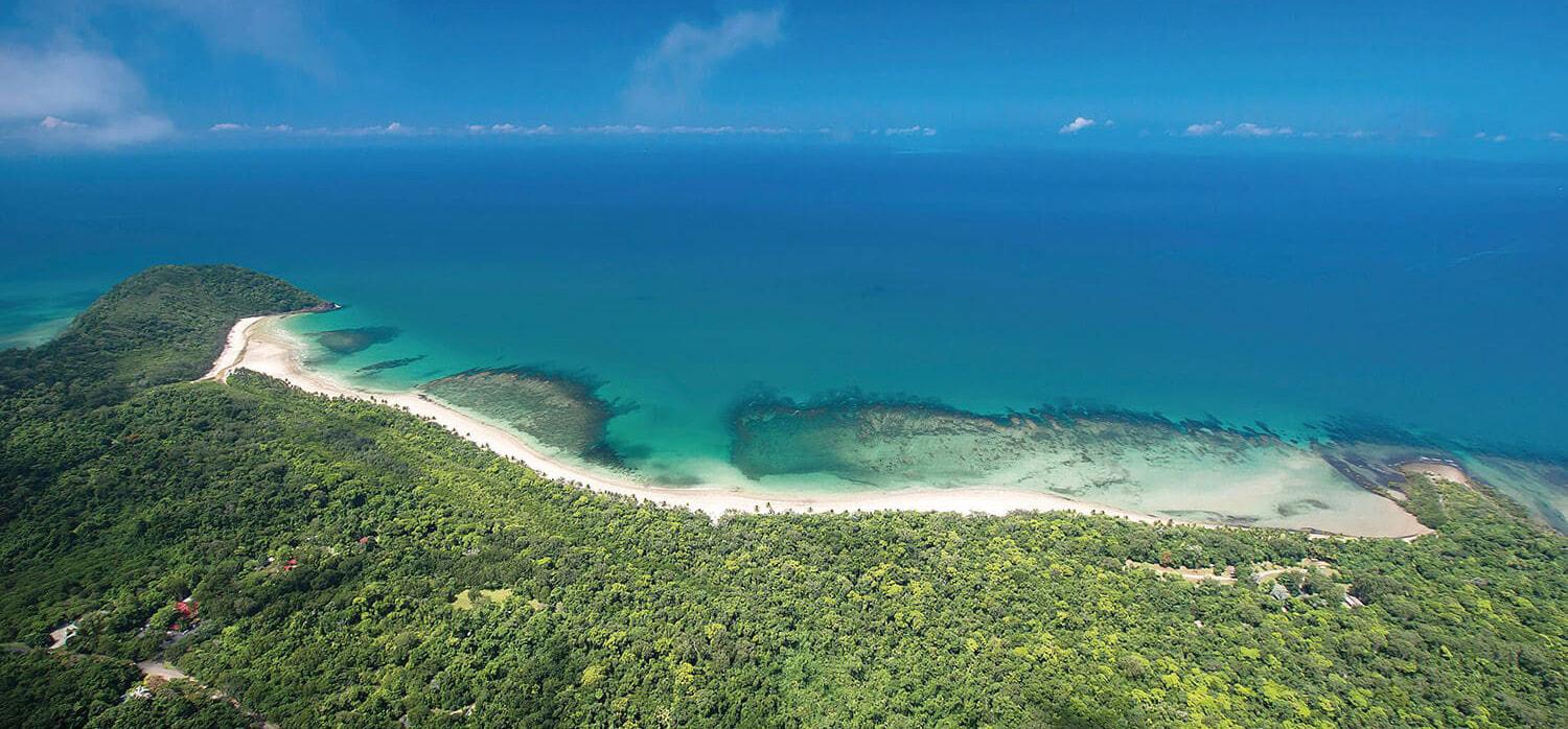 Daintree Overview 1