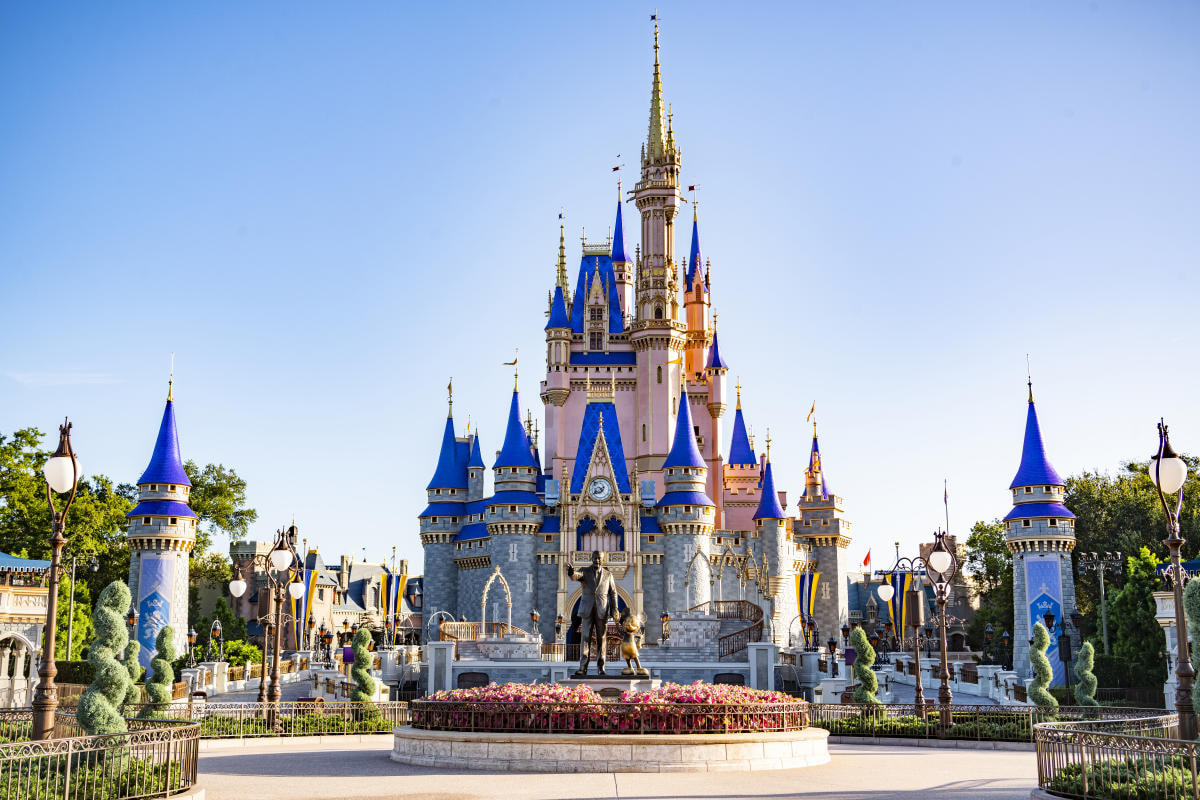Disney's Theme Park