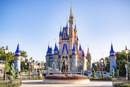 Disney's Theme Park