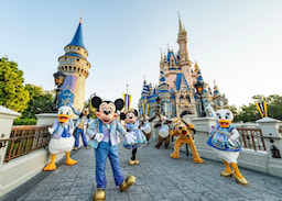Disney's Theme Park