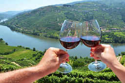 Duoro Valley Tour with Wine Tasting