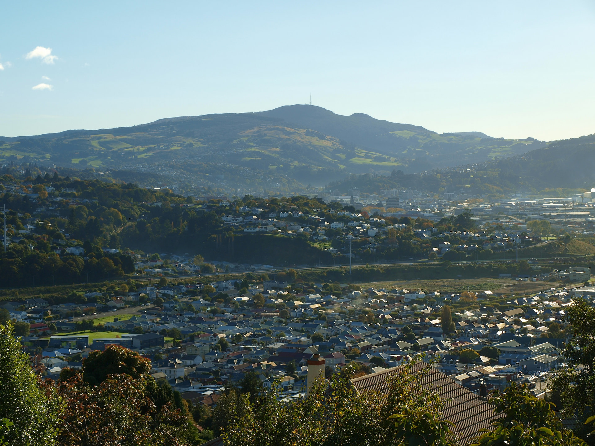 Dunedin City1