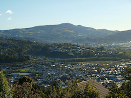 Dunedin City1