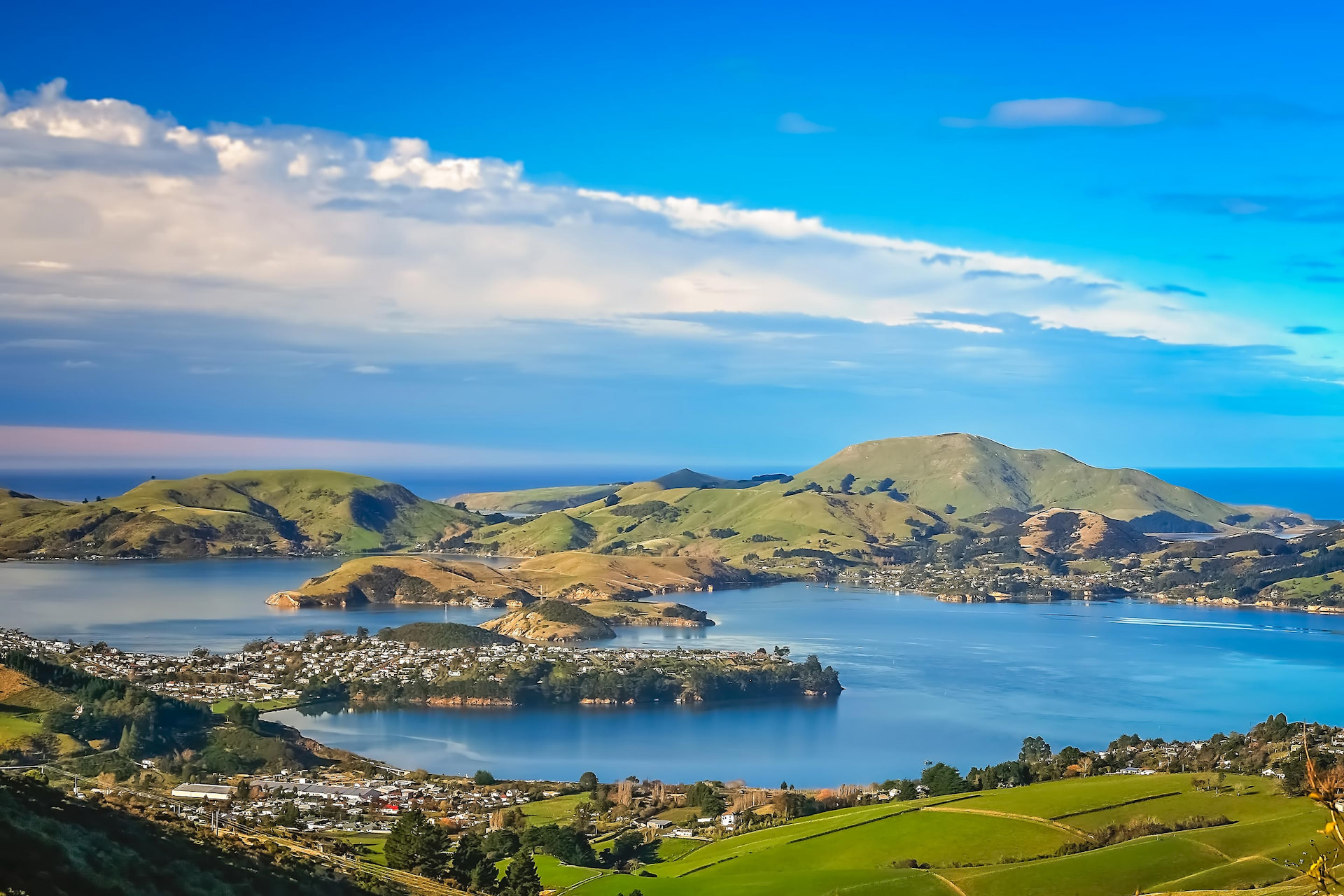 Dunedin City