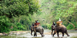 Elephant Trekking Phuket
