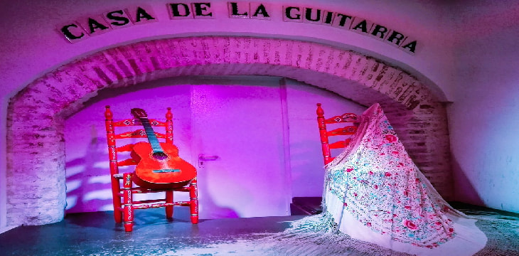 Flamenco Show at La Casa de la Guitarra