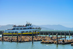 Experience the Bay Cruise