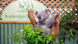 Featherdale Wildlife Park