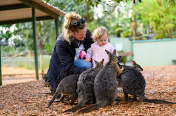 Featherdale Wildlife Park 1