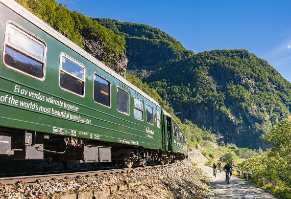 Train Journey Flamsbana-1