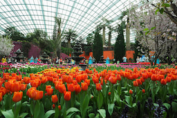 Flower Dome 1