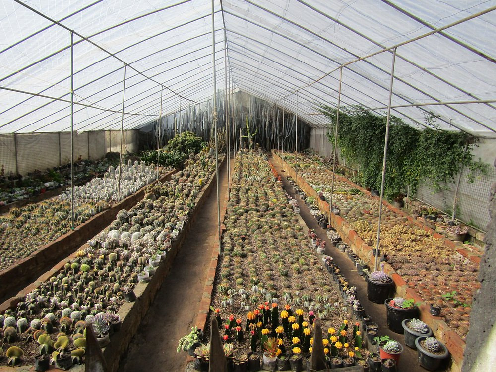 Flower Nurseries