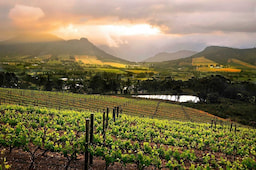 Franschhoek