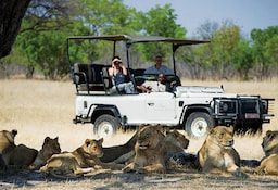 Game Drive In Hwange National Park