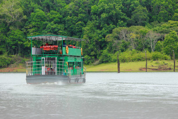 Go for Periyar Boat Jungle Safari