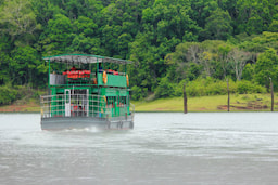 Go for Periyar Boat Jungle Safari
