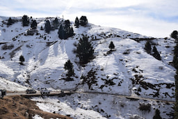 Go for Trek to Dainkund Peak