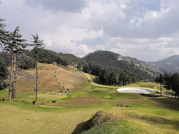 Visit golf course in Naldehra