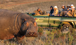 Gondwana Game Reserve