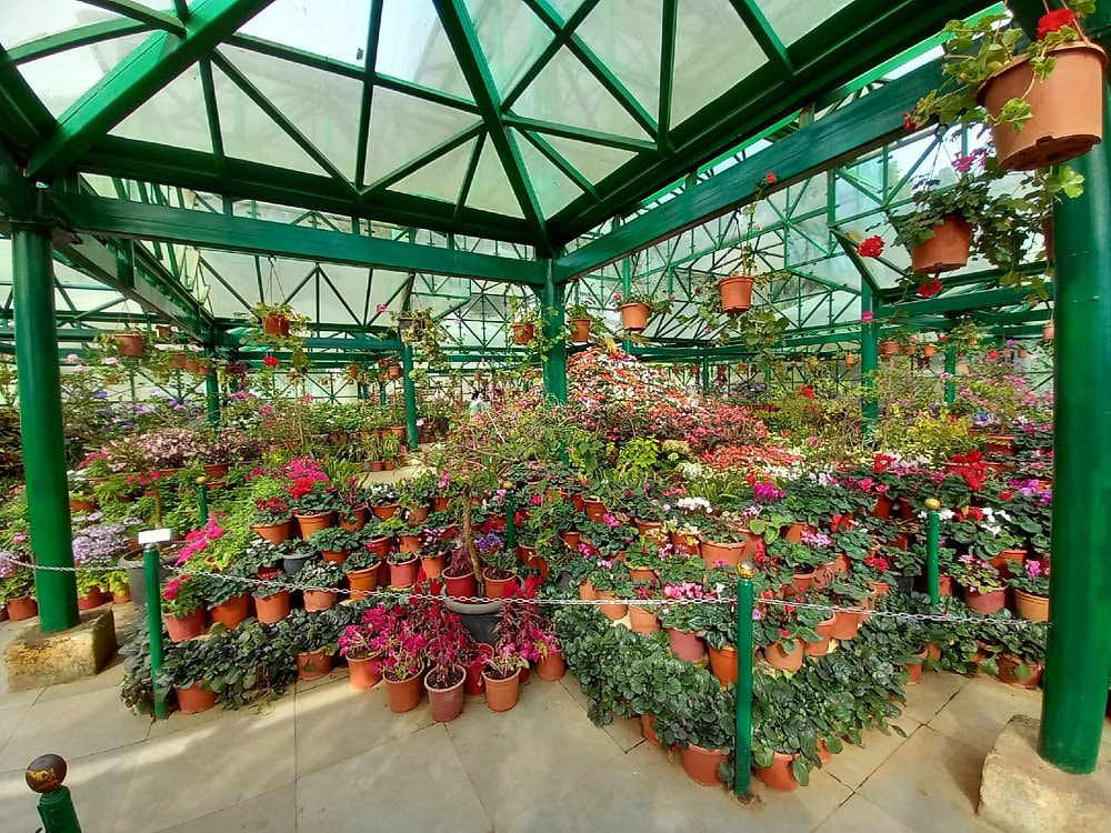 Government Botanical Garden