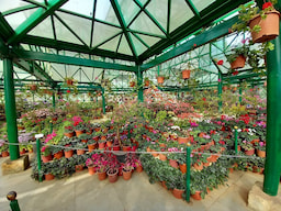 Government Botanical Garden