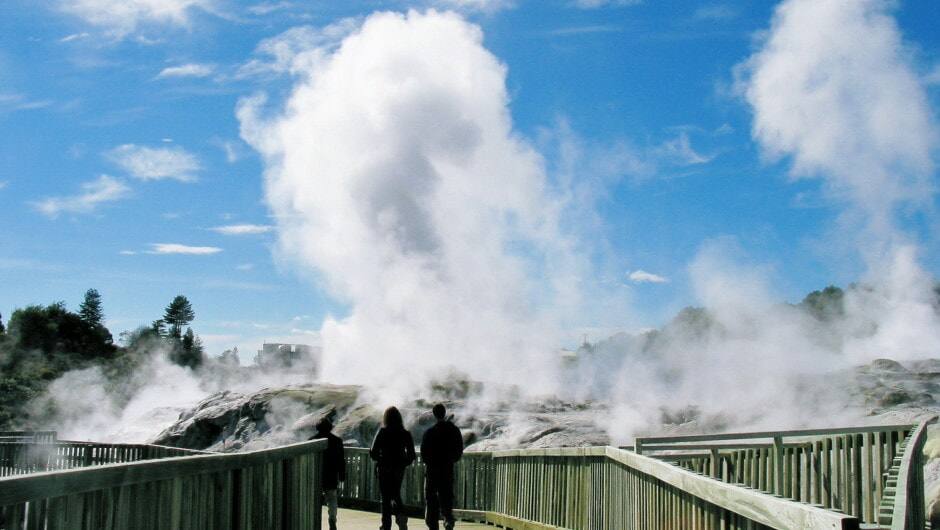 Guided tour of Te Puia Thermal Reserve