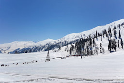 Day trip at gulmarg