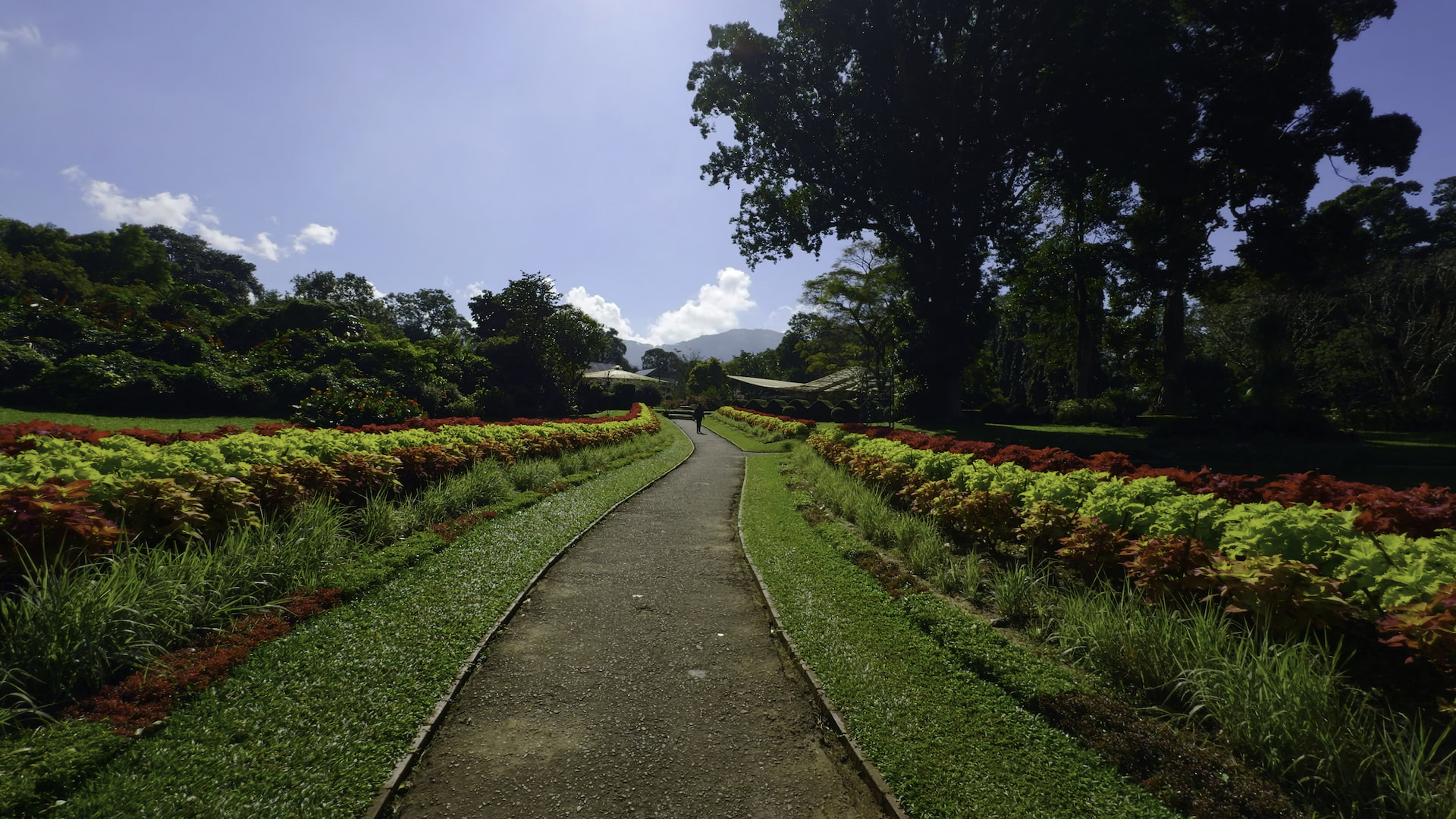 Hakgala Botanical Garden 1
