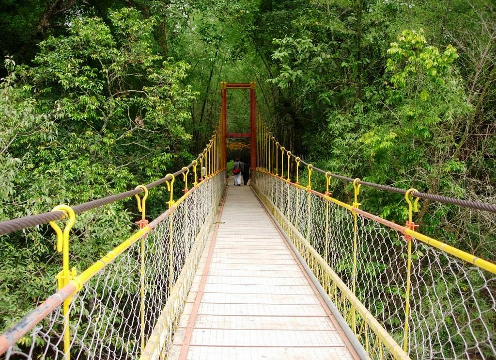 Hanging Bridges 1