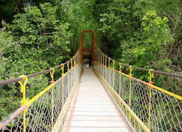 Hanging Bridges 1