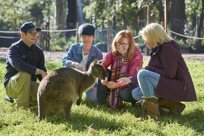 Healesville Sanctuary